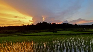 Sunset photography around farm fields