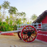 Bullock Cart Ride