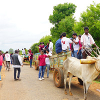 Bullock Cart Riding Enjoying with Friends