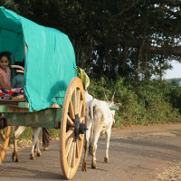 Bullock Cart Riding near Bangalore