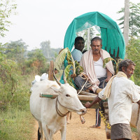 Bullock Cart Riding near Mysore