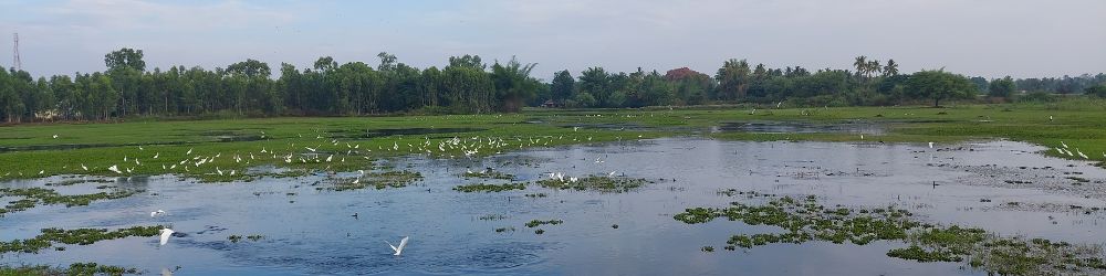 Nature view at Chukki Mane