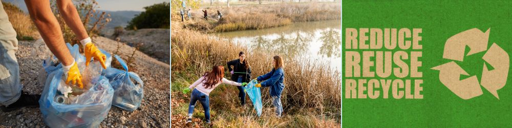 environment-day learning