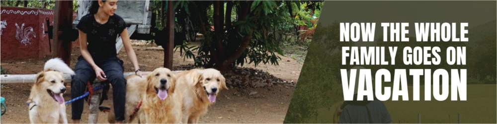 Pet friendly resort near bangalore